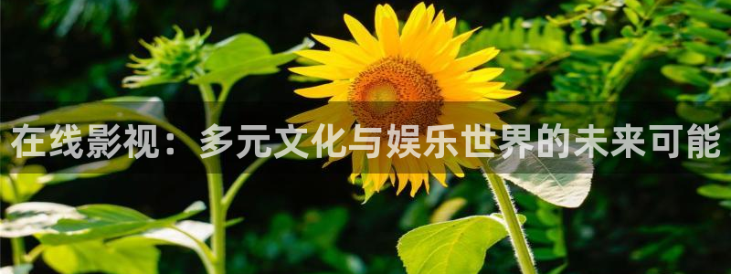 斑马z4：在线影视：多元文化与娱乐世界的未来可能