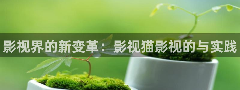的斑马：影视界的新变革：影视猫影视的与实践