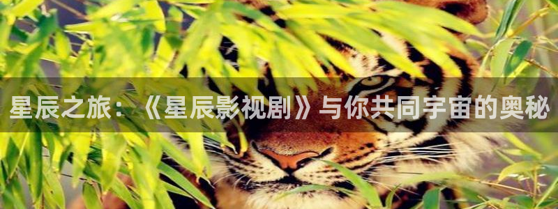斑马170xi4：星辰之旅：《星辰影视剧》与你共同宇宙的奥秘