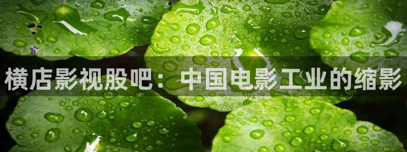 斑马 888t：横店影视股吧：中国电影工业的缩影