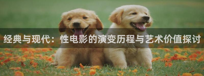 斑马电影在线观看免费播放：经典与现代：性电影的演变历程与艺术价值探讨