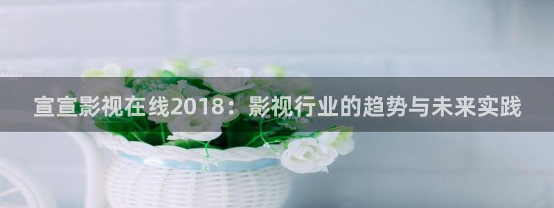 斑马传媒：宣宣影视在线2018：影视行业的趋势与未来实践