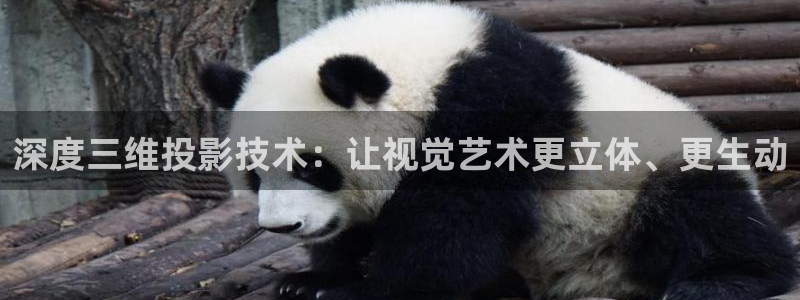 斑马视频电影免费观看：深度三维投影技术：让视觉艺术更立体、更生动