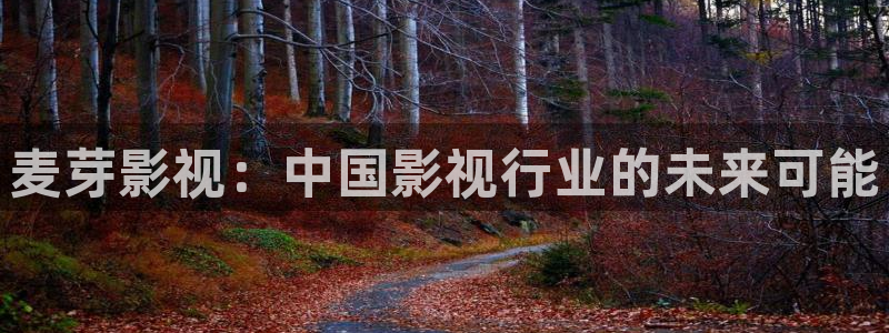 斑马科技：麦芽影视：中国影视行业的未来可能