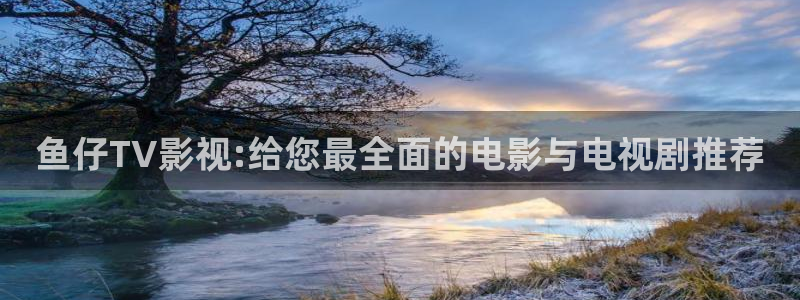 斑马系统5.0