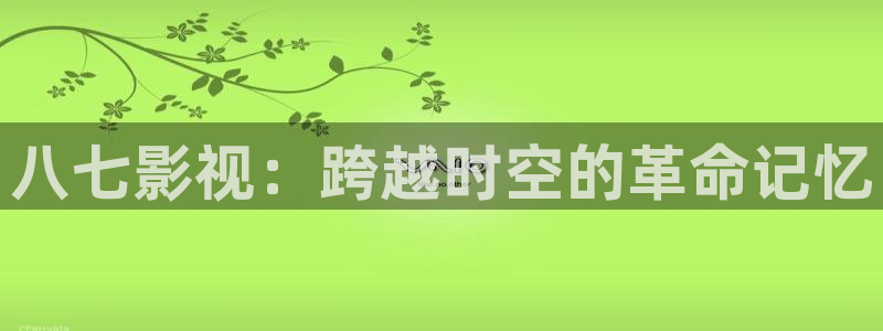 斑马tc25：八七影视：跨越时空的革命记忆