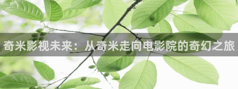 斑马斑马的电影完整版：奇米影视未来：从奇米走向电影院的奇幻之旅
